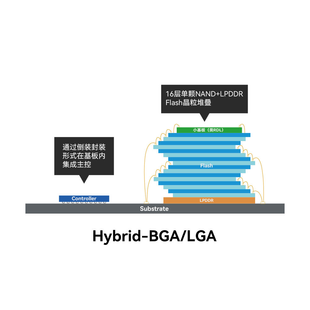 佰维Biwin_Hybrid-BGA/LGA_Hybrid-BGA/LGA_1