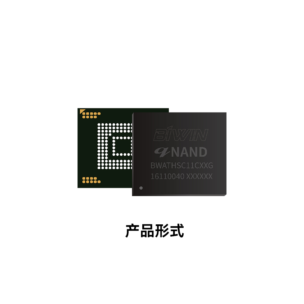 佰维Biwin_WB-BGA/LGA_WB-BGA/LGA_2
