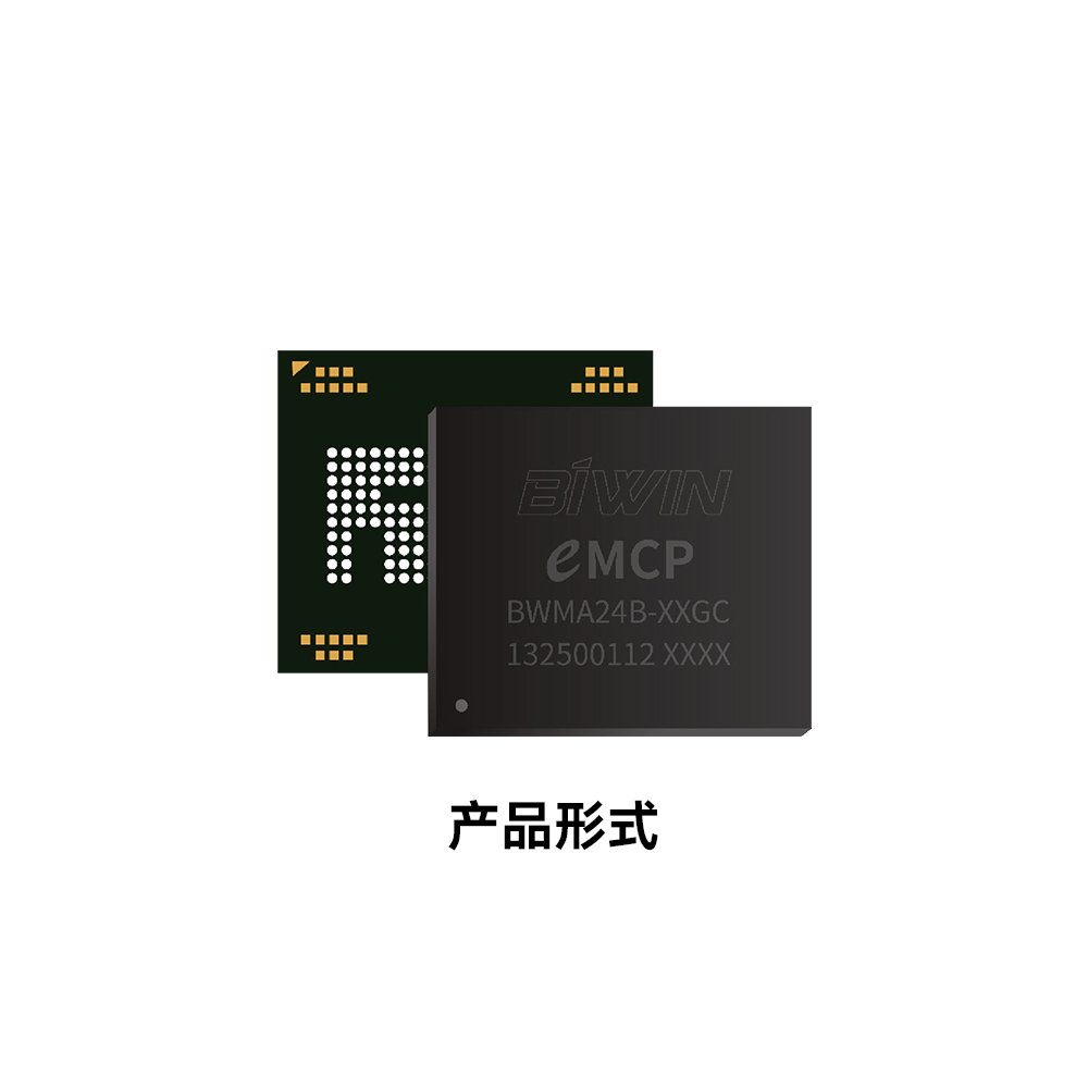佰维Biwin_Hybrid-BGA/LGA_Hybrid-BGA/LGA_2